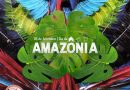 Dia da Amazônia: Brasil estancou desmatamento, mas ponto de não retorno ainda está próximo
